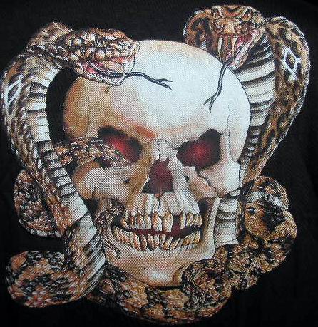 SNAKE AND SKULL - T-Shirt