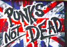 PUNKS NOT DEAD Wallet